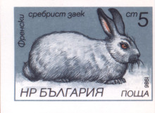 5 стотинки