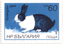 60 стотинки