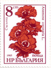 8 стотинки