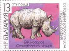 13  стотинки