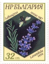 32 стотинки