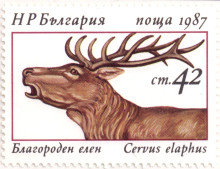 42 стотинки