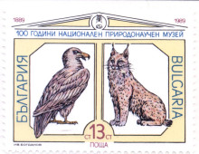 13 стотинки