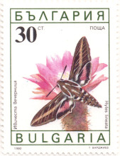 30 стотинки