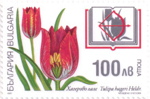 100 лева