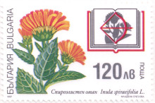 120 лева