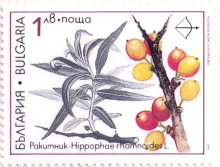1 лев