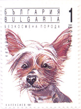 1 лев