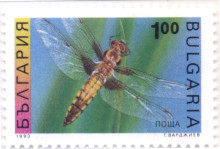 1 лев