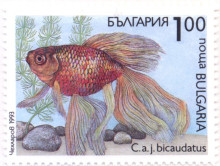 1 лев