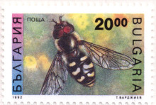 20 лева