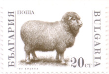 20 стотинки