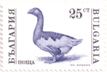 25 стотинки