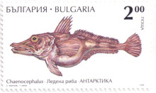 2 лева