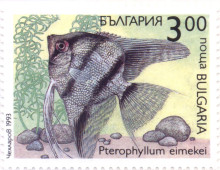 3 лева