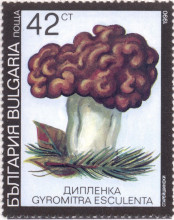 42 стотинки
