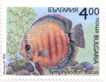 4 лева