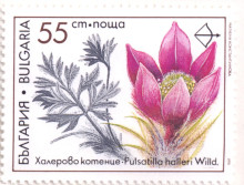 55 стотинки