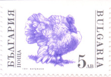 5 лева