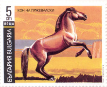5 стотинки