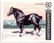 60 стотинки