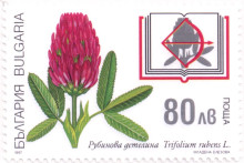 80 лева