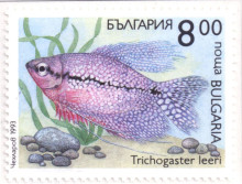 8 лева