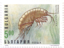 5 лева