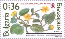 36 стотинки