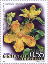 55 стотинки