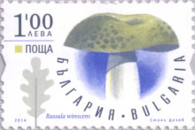 1 лев зелена гълъбка