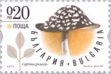 20 стотинки пъстра копринка