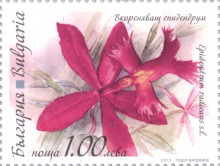 1 лев