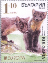 Златка