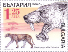 1,25 лева