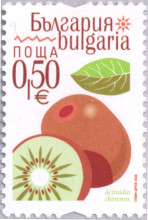 0,50 евро киви