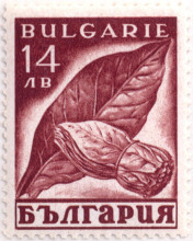 14 лева