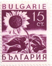 15 стотинки