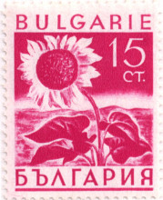 15 стотинки