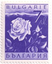 7 лева