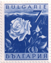 7 лева
