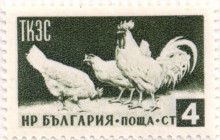 4 стотинки