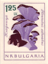 1.25 лева без перфорация