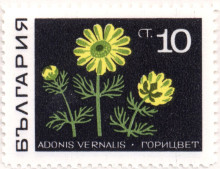 10 стотинки