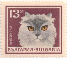13 стотинки