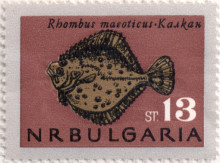 13  стотинки