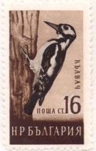 16 стотинки