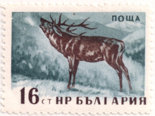 16 стотинки