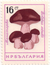 16 стотинки