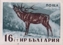 16 стотинки